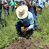 Regenerative Nexus: The Best ROI For Your Farm