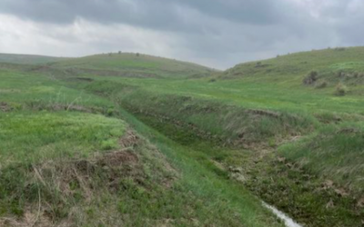 How Cover Crops can help you manage moisture better