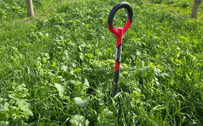 Regenerative Disease and Pest Control in Orchards