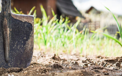 “I Increased My Soil Organic Matter”