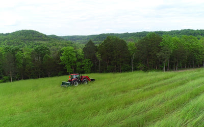 From Rocky Ground to Thriving Wildlife