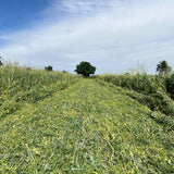 Roller Crimping Cover Crops: Best Varieties & Timing Tips
