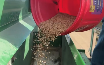 FAQ - Will the seed separate in the planting boxes?