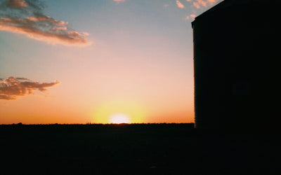 FAQ - What do you use for insect control in your storage bins?