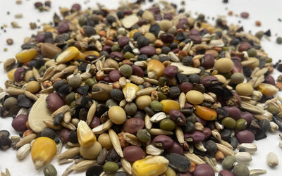 Cover Crop Seeding