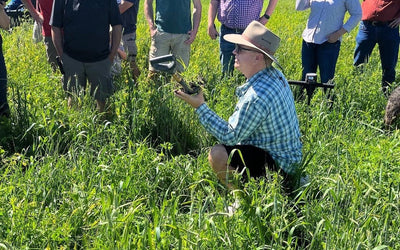 Minimizing Disturbance in Cropping Systems