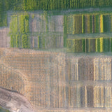 An Overview of Green Cover's 2025 Cover Crop Test Plots