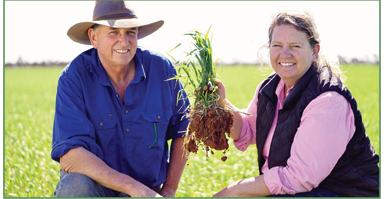 Regenerative Farming in Dry Climates: The Haggerty Story