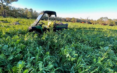 Plan Your Ultra-Diverse Spring Cover Crop Mix to Build Resiliency This Year