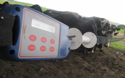 Pasture Management for Horses: Stocking Rates and Forage Selection