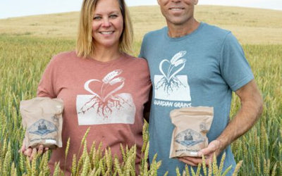 Cover Crops in a Low Rainfall Environment: How One North Dakota Farm Thrives