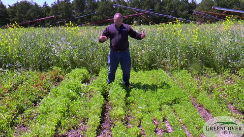 Spring-Seeded Crimson Clover: Extending Range North