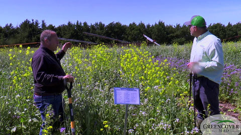 Cool Season Pollinator Mix: Plant Diversity That Works