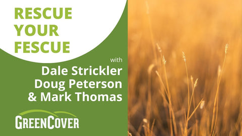 Fix Fescue Pastures: Managing Endophyte Toxicity with Better Genetics and Plants