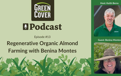 Growing Almonds, Walnuts, and Olives Regeneratively: Benina Montes on Soil Health Without Synthetics