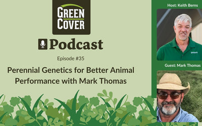 Perennial Grasses for Grass-Fed Cattle: What Mark Thomas Learned in 30 Years