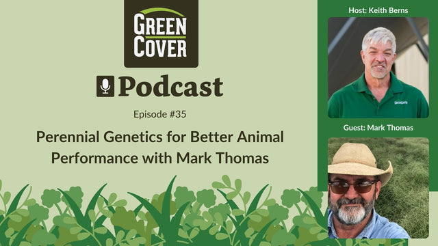 Perennial Grasses for Grass-Fed Cattle: What Mark Thomas Learned in 30 Years