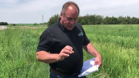 Perennial Forage Varieties for Winter Grazing: What Works in Your Pasture