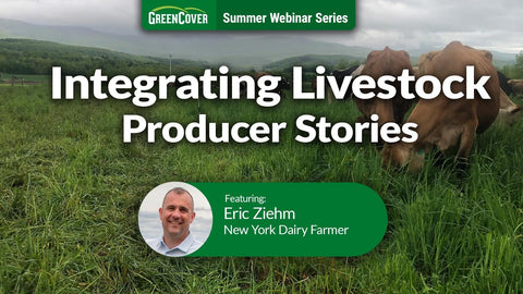 How Rotational Grazing and Cover Crops Rebuilt Pastures on an Organic Dairy Farm