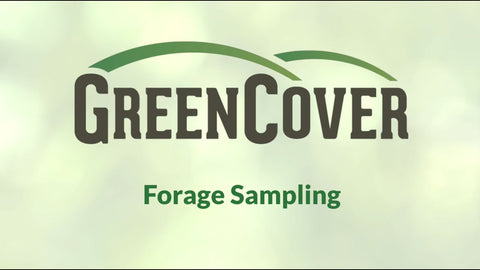 How to Take a Forage Sample