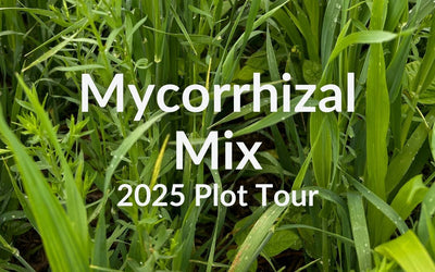 Mycorrhizal Mix: Building Fungal Populations in Your Soil