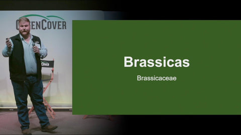 Brassicas in Cover Crop Mixes: A Grower's Guide to Every Species
