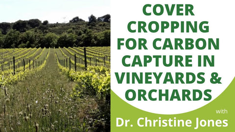 Cover Crops in Vineyards and Orchards: Building Soil Carbon and Food Quality