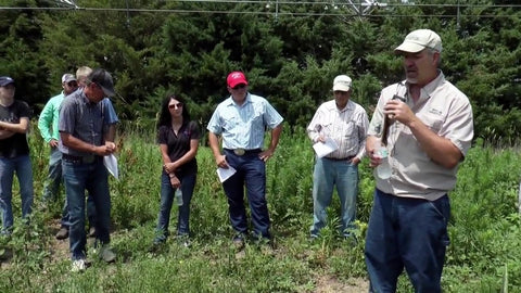 Early Summer Cover Crop Field Tour: Flax, Phacelia, Mustards & More