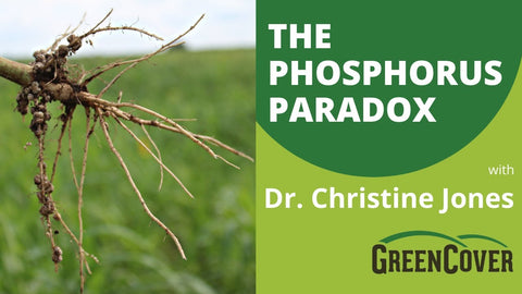 The Phosphorus Paradox: Why Your Soil Has Plenty (But Plants Can't Access It)