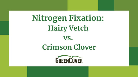 Hairy Vetch vs Crimson Clover for Nitrogen Fixation