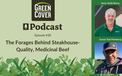 How to Raise Grass-Fed Beef with Steakhouse Quality and Medicinal Nutrients