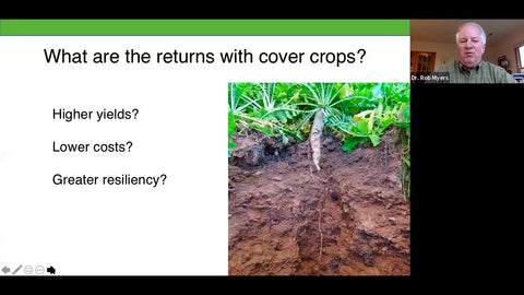 Cover Crop Economics: What the Data Shows