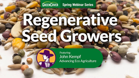 What Makes Healthy Seed: The Foundation of Better Crops