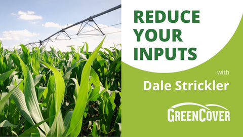 Cut Input Costs with Cover Crops and Biology