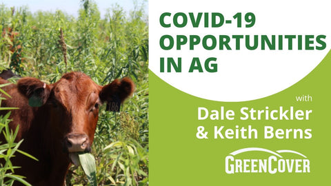 Building Local Agriculture During Economic Disruption