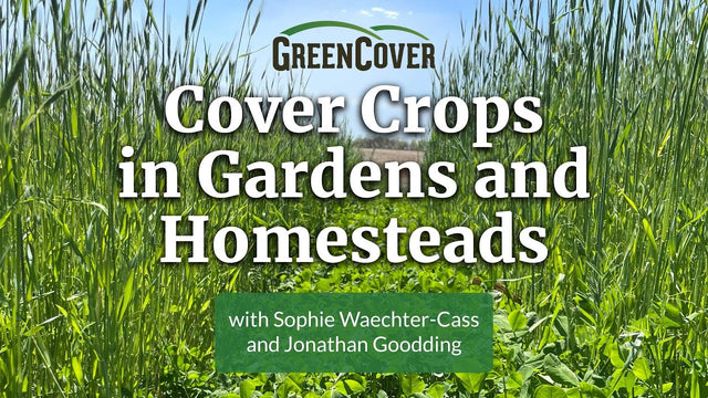 Growing Cover Crops in Home Gardens and Homesteads