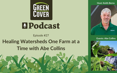 Healing Watersheds Through Deep-Rooted Diversity and Soil Biology
