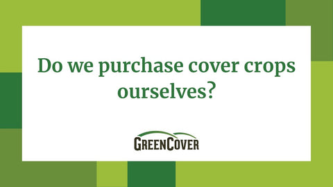 Does Green Cover Buy Cover Crop Seed from Growers?