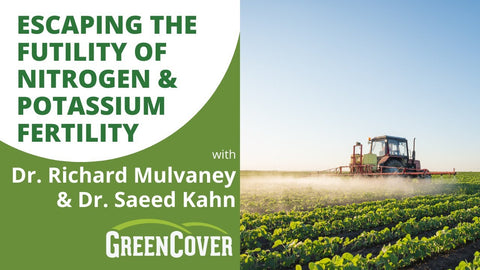 Stop Wasting Money on Nitrogen and Potassium Fertilizer—What the Research Shows