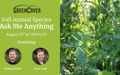 Fall Cover Crop Species: Your Questions Answered