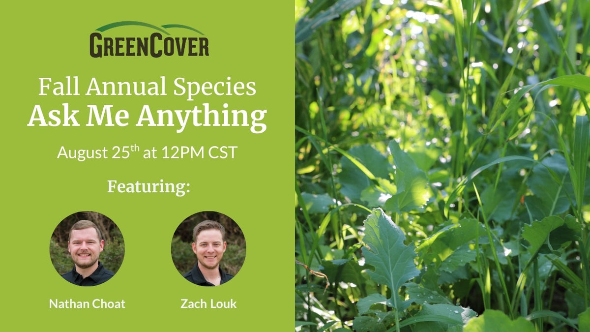 Fall Cover Crop Species: Your Questions Answered