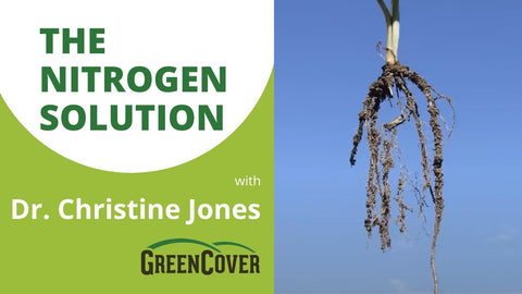How Plant Diversity Replaces Nitrogen Fertilizer