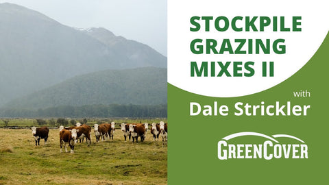 Stockpile Grazing Mixes to Cut Winter Feed Costs