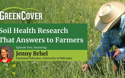 On-Farm Research: Testing Cover Crops and Practices on Your Own Fields