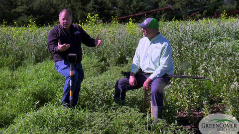 Chickpea (Desi) for Cover Crops and Companion Planting