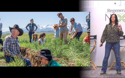 Bringing Biology Back to Soil: A Revolution in Agriculture