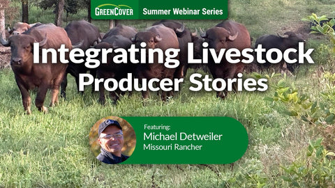 Water Buffalo, Yak, and Cover Crops: Integrating Livestock on Rocky Ozark Soils