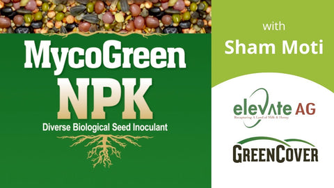 MycoGreen NPK: How Mycorrhizae Work in Your Soil