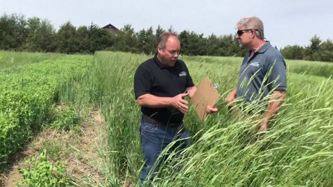 Winter Cereal Blend: What Rye, Barley, and Triticale Mix Can Do for You
