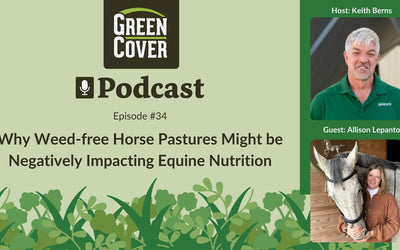 Why Weed-Free Horse Pastures Make Horses Sick